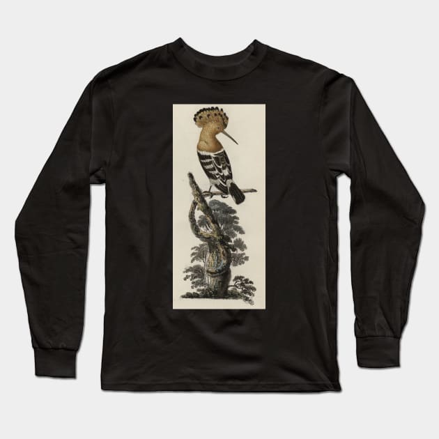 Hoopoe bird Long Sleeve T-Shirt by High Class Arts